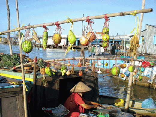 Địa điểm du lịch cần thơ - Chợ nổi Cái Răng địa điểm nổi tiếng ở Cần Thơ